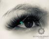 3D Eyelash Beauty