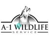A-1 Wildlife Service
