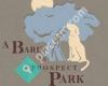 A Bark In Prospect Park