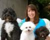 A Better Way Errand and Pet Sitting Service