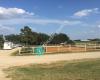 A Cowgirls Kennel