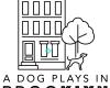 A Dog Plays in Brooklyn