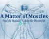 A Matter of Muscles