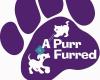 A PurrFurred Pet Care Service