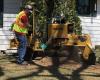 AAA Tree Care & Landscaping