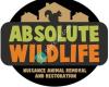 Absolute Wildlife, Inc