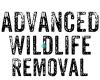 Advanced Wildlife Removal