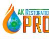 AK Restoration Pro