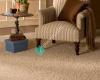 Alameda Carpet & Upholstery Cleaners