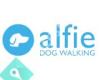 Alfie Dog Walking