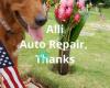 Alii Auto Repair