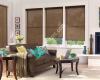 All About Blinds