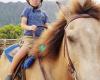 Aloha Riding Lessons