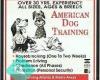 American Dog Training