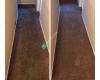 Amg Carpet Cleaning Services