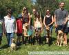 Amiable Dog Training