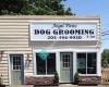 Angel Paws Dog Grooming & Spa