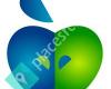 Apple Environmental