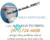 Aquarian Plumbing