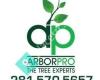 Arbor Pro The Tree Experts