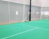 Arena Badminton