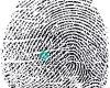 Arizona Livescan Fingerprinting