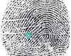 Arizona Livescan Fingerprinting