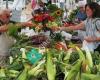 Arlington Farmers Market