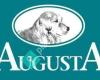 Augusta Dog Training