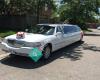 Aurora Stars Limousine