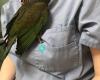 Avian and Exotic Veterinary Care