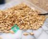 Bald Brewer Homebrewing and Winemaking supplies