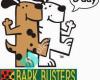 Bark Busters Home Dog Training