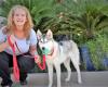 Bark Busters Home Dog Training