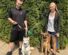 Bark Busters Home Dog Training Portland Southwest