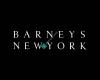 Barneys New York, Copley Place