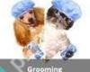 Baseline Animal Pet Boarding & Grooming