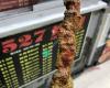 BBQ Lamb Sticks