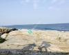 Beavertail State Park