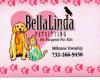 BellaLinda Pet sitting
