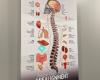 Bethesda Spine & Posture