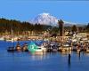 Better Properties Gig Harbor