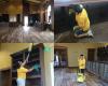 Beyond Cleaning Services