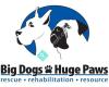 Big Dogs Huge Paws Rescue