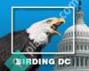 Birding DC