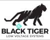 Black Tiger