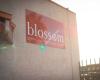 Blossom Birth and Wellness Center