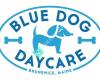 Blue Dog Daycare