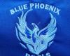 Blue Phoenix Pools