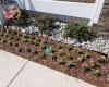 BMA Landscaping